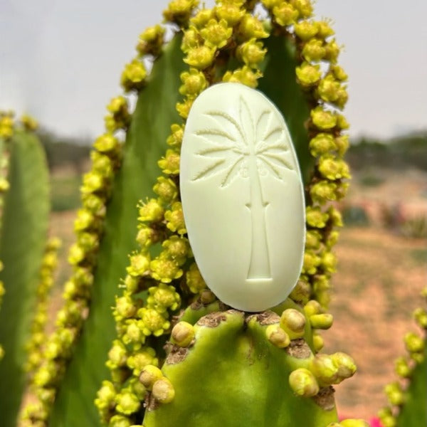 Fico d'India tvål oliv